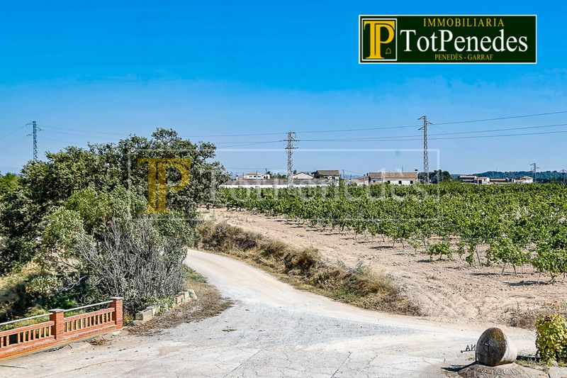 Foto ce9d6eaa-2a67-4c76-b8ce-68c725a5f99a. Affitto casale con camino riscaldamento parcheggio in Font-rubí