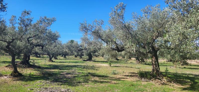 Foto 0342f5a2-3093-4541-86ce-1d4f66848fbb. Masía finca rúst. en venta en raval de crist. en Roquetes