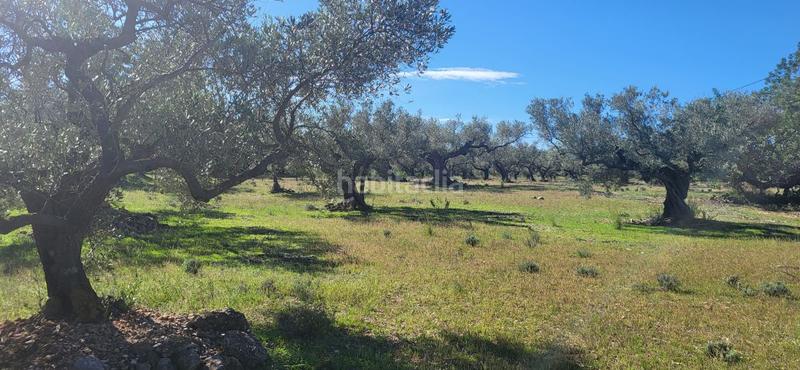 Foto 10ad31ef-0f9f-4673-9fcb-efc423f3a659. Masía finca rúst. en venta en raval de crist. en Roquetes