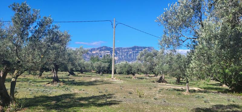 Foto 37394524-86b1-4455-a495-b83a20f97ace. Masía finca rúst. en venta en raval de crist. en Roquetes