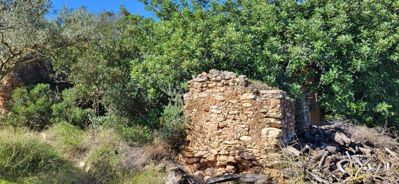 Foto 3d0f5b58-5671-44f3-b716-06446a466851. Masía finca rúst. en venta en raval de crist. en Roquetes