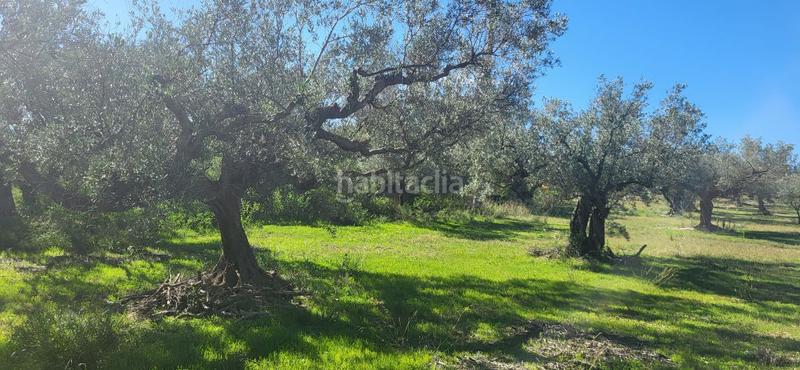Foto 48221bec-686b-4edb-ad3a-13908b098bf4. Masía finca rúst. en venta en raval de crist. en Roquetes