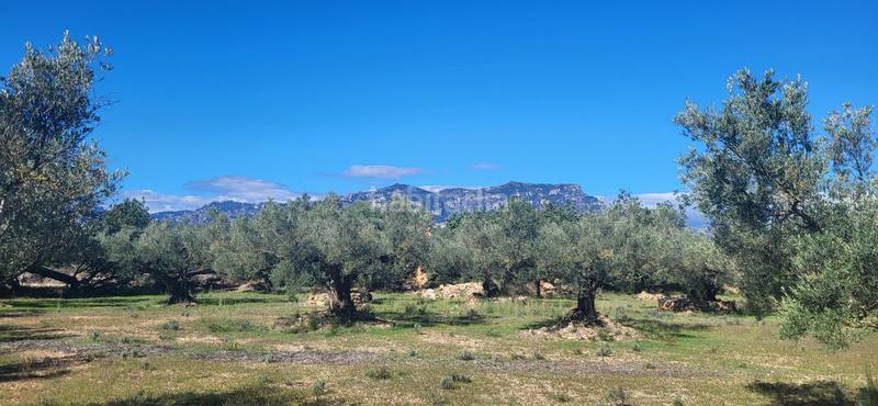 Foto 5754f6ac-3d38-42c5-a87f-8837d0359050. Masía finca rúst. en venta en raval de crist. en Roquetes