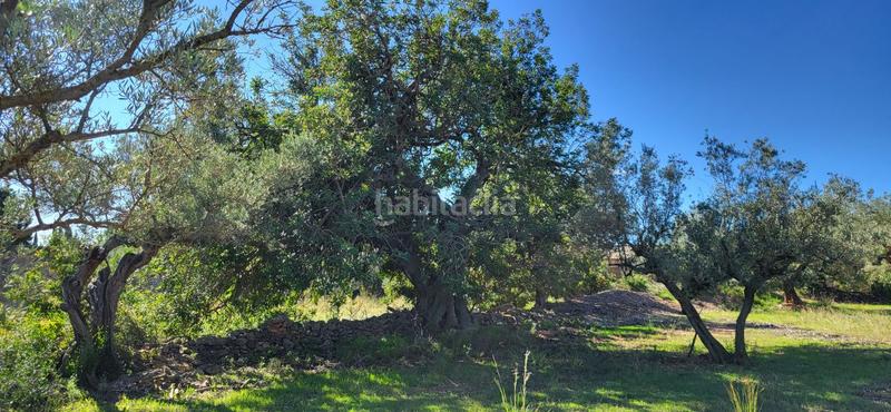 Foto cfd7ff57-0d7b-4927-8d57-ffca286bbd1a. Masía finca rúst. en venta en raval de crist. en Roquetes