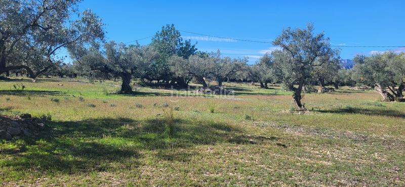 Foto def2c34e-6481-46d6-8347-d3c07ee832c2. Masía finca rúst. en venta en raval de crist. en Roquetes