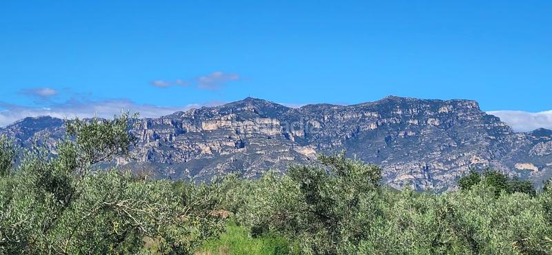 Foto f103c569-d03c-47cc-a134-d41a8a90735d. Masía finca rúst. en venta en raval de crist. en Roquetes