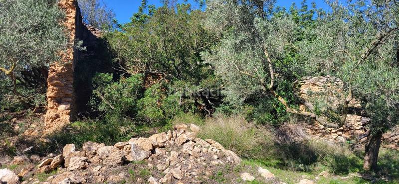 Foto f1cd80fb-24ab-4daf-ba58-331b2bbb7328. Masía finca rúst. en venta en raval de crist. en Roquetes
