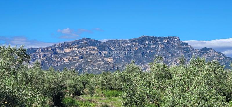 Foto f2b5dc74-9f82-4f24-9f19-896e73eeb3af. Masía finca rúst. en venta en raval de crist. en Roquetes