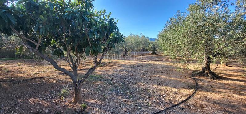 Foto 4f6b9a6d-a4ba-4045-aae1-e3f1db2cf0cb. Masía finca rúst. en venta en els reguers, 2 dormitorios. en Tortosa