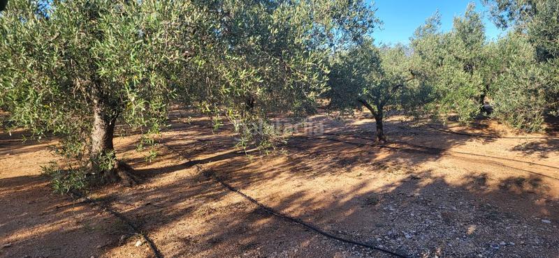 Foto 5c57a11a-43b2-483d-8010-093da10b0e36. Masía finca rúst. en venta en els reguers, 2 dormitorios. en Tortosa