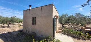 Masía en Jesús - Els Reguers. Finca rúst. en venta en els reguers.
