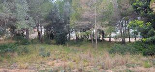 Terreny residencial  Meligó. Solar en venta en ampolla l.