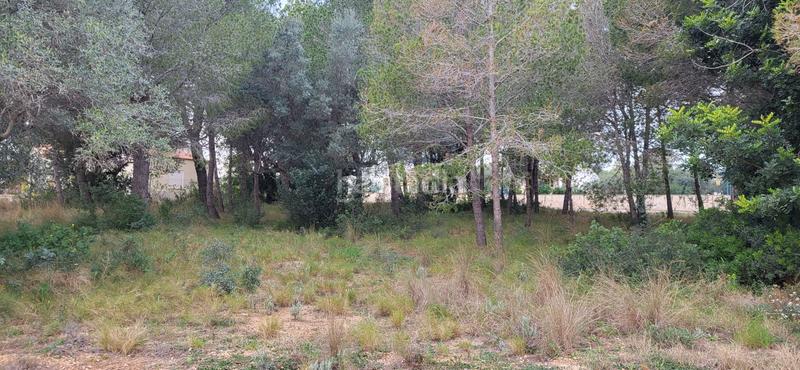 Foto 375a0377-13cc-4c96-b63e-0e519936a5f7. Terreny residencial a Perelló (El)