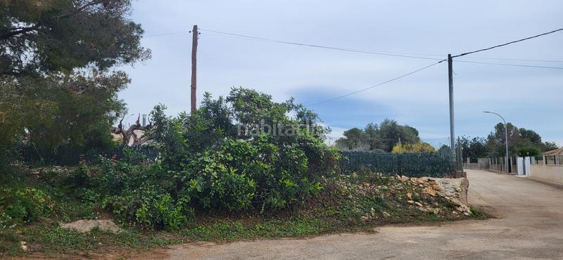 Foto a4eb8599-4c5c-444d-b822-2e8665e07d45. Terreny residencial a Perelló (El)