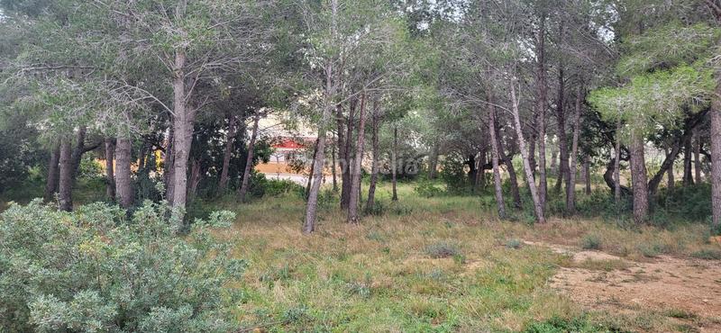 Foto c47ca0ac-144e-4aeb-995d-c5749289b321. Terreny residencial a Perelló (El)