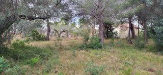 Terreno residencial  Meligó. Solar en venta en ampolla l.