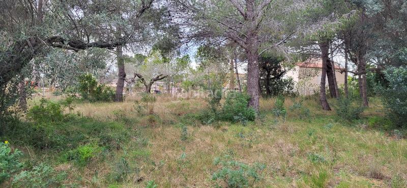Foto e3629097-2a37-4282-abaf-4da938c9d6e7. Terreny residencial a Perelló (El)