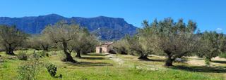 Masia  N/a. Finca rúst. en venta en ctra. mas de barberans.