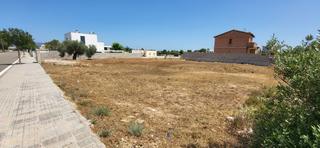 Terreny residencial  Els pilans. Solar en venta en pilans.