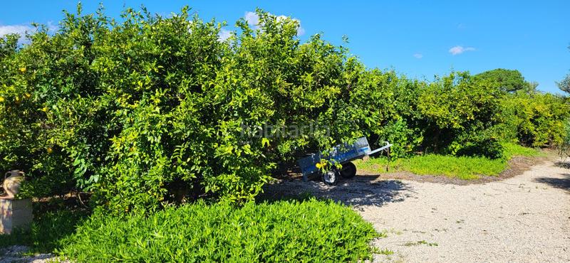 Foto 6e0d1d5e-1a59-443e-8768-e1738c0ed42c. Mas avec piscine dans Bítem Tortosa