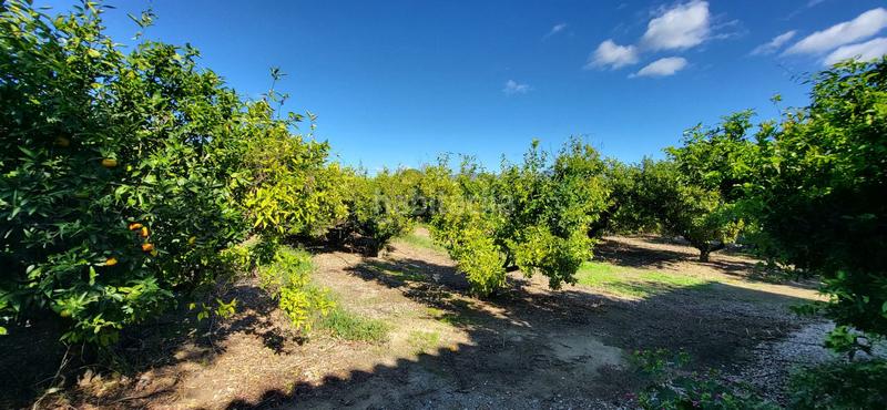 Foto ce792cdf-7762-4b67-91bb-7d6bcb1202e1. Mas avec piscine dans Bítem Tortosa