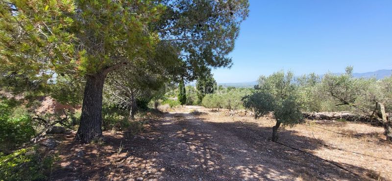 Foto 76fd01ce-b964-4305-b3b8-62598e0a1fea. Masia a Urbanitzacions Tortosa