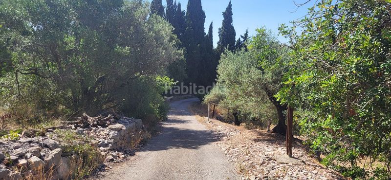 Foto cdb2432f-52e0-4538-ad77-258260dff68c. Masia a Urbanitzacions Tortosa