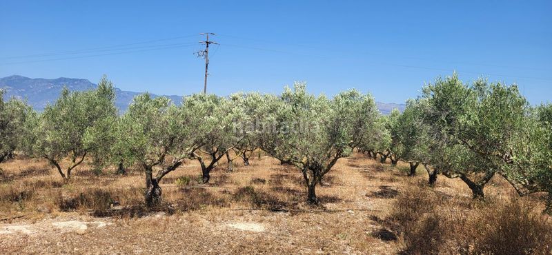 Foto e667deb7-efed-4e6a-b133-7721c2d962c3. Masia a Urbanitzacions Tortosa