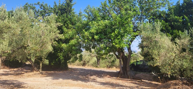 Foto 372e5ed7-f63d-4b92-a70a-fed5446edf1b. Masia a Mas de Barberans