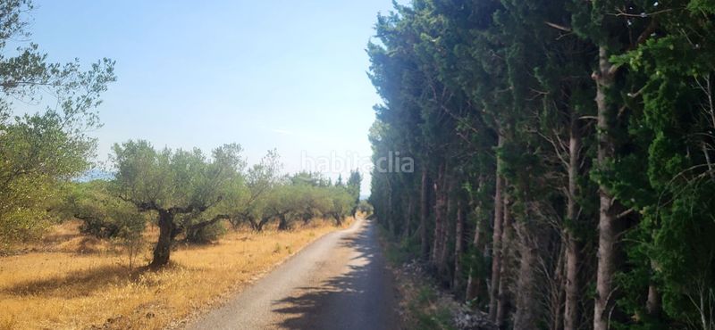 Foto 4073ad3b-62b3-4371-a8d9-db6d00af1ccf. Masia a Mas de Barberans