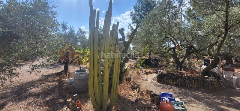Foto 6a5f9889-3d21-49a4-a920-a2a7c109117e. Masia a Mas de Barberans