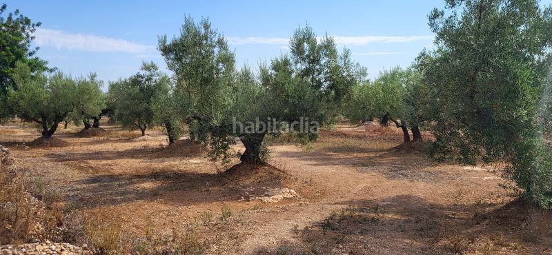 Foto b1abcec2-4c56-49be-b07b-d171456b72b9. Masia a Mas de Barberans