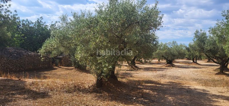 Foto d5236ab2-ab6b-4def-9d7e-cd383a312425. Masia a Mas de Barberans