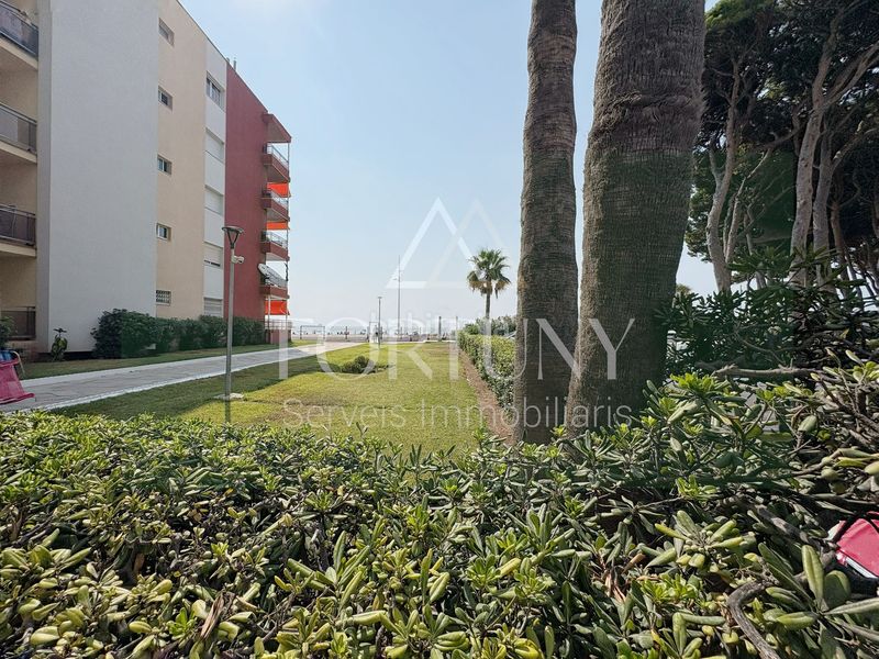 Foto 14f4a1a7-3a28-422f-8ce3-fec847e69d0f. Pis a La Pineda Vila-seca