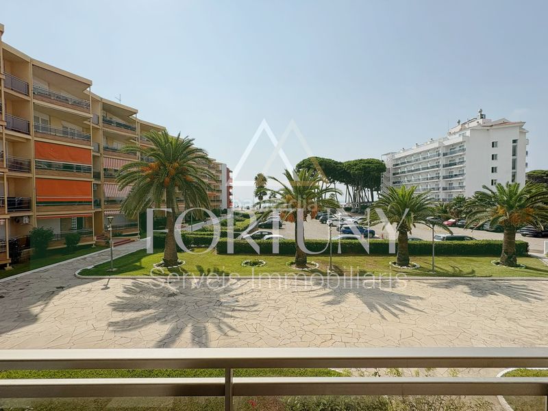 Foto 689a0372-5a65-482a-bde2-3d21afaa4671. Pis a La Pineda Vila-seca