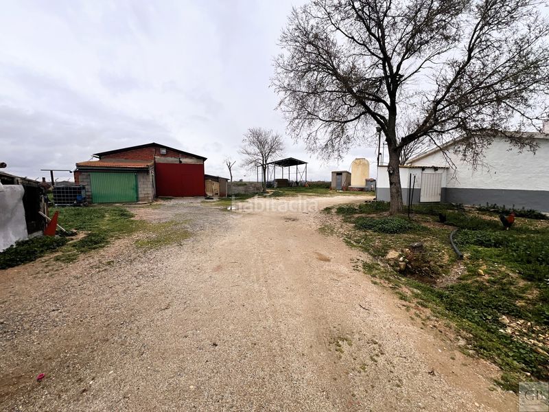 Foto 97598868-691f-465e-bb7e-2d086ed31230. Finca rústica a Consuegra