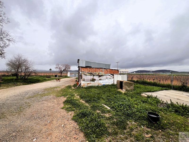 Foto cb667cc5-fa6b-4ea3-b9af-a024f9ab4d63. Finca rústica a Consuegra