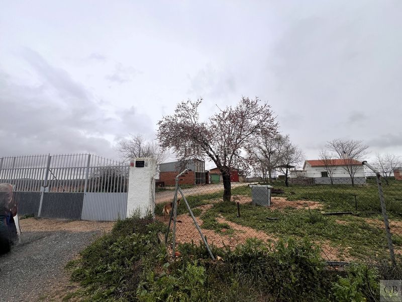 Foto f8af5035-b2cf-428a-ac46-96f409d45a08. Finca rústica a Consuegra