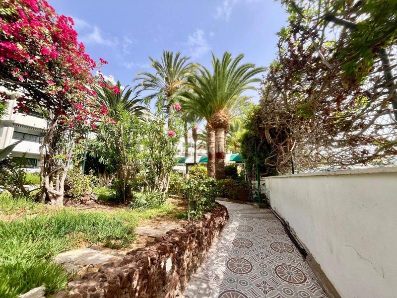 Foto 8fae1c0f-805d-4efb-9a53-3f6f11415a4f. Apartamento surycan apartamento con vistas y todas las comodidades cerca en San Bartolomé de Tirajana