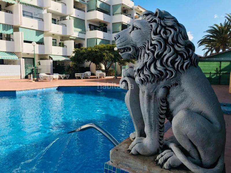 Foto b857d129-8a95-4c72-900c-99f3206fc426. Apartamento surycan apartamento con vistas y todas las comodidades cerca en San Bartolomé de Tirajana