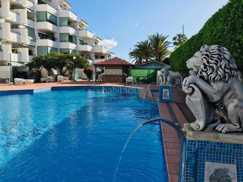 Foto c31cd854-cce6-4d4d-8b2c-1a88aae3cc21. Apartamento surycan apartamento con vistas y todas las comodidades cerca en San Bartolomé de Tirajana