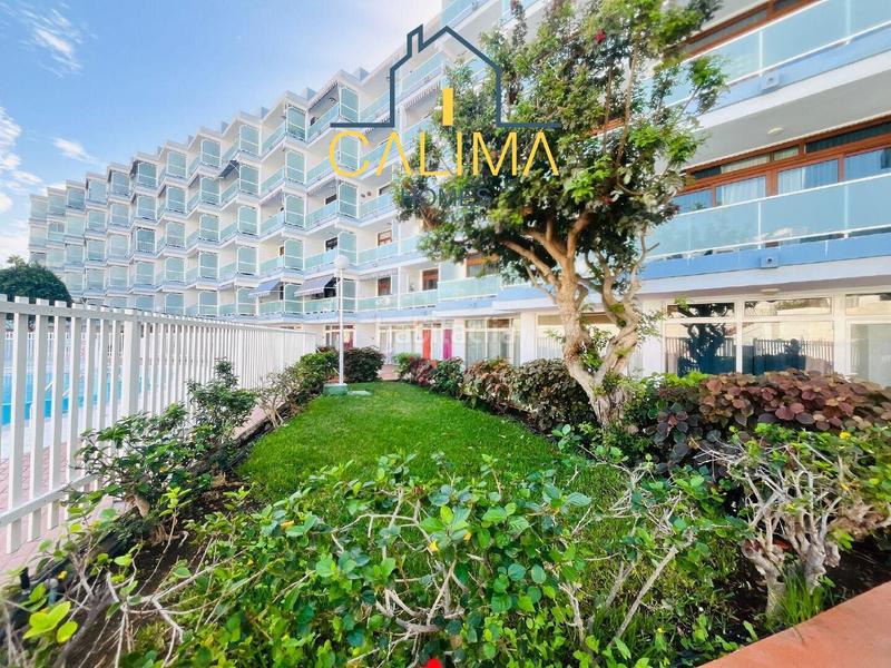 Foto 0a57870a-6f96-4856-8188-28d0eed38e58. Piso en Playa del Inglés San Bartolomé de Tirajana