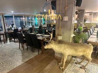 Traspaso Local Comercial  Av. de tirajana 28 35100