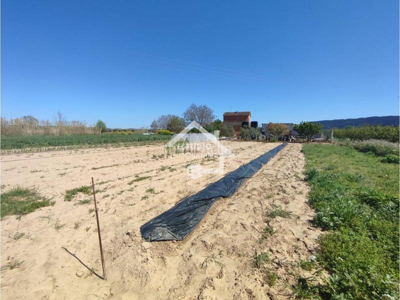 Foto a9bec555-81ab-439d-b4d5-51a0d6d25fcf. Finca rústica a Mendavia