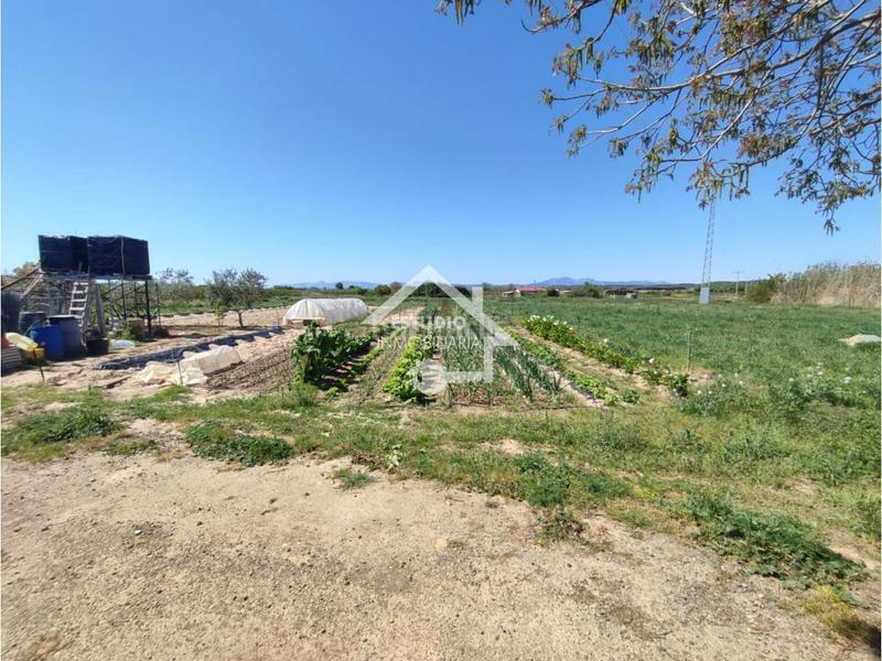 Foto d2cb6fc9-348c-49d0-8ceb-87a72055a4c6. Finca rústica a Mendavia