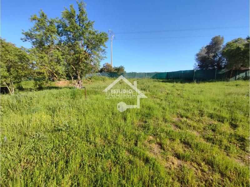 Foto 052468fa-d09c-481b-a19d-d2e41139d010. Finca rústica a Navarrete