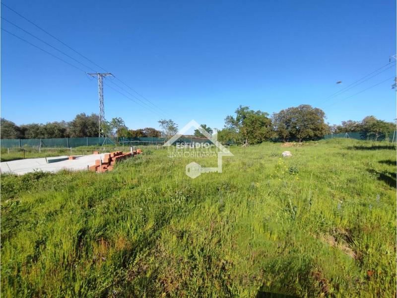 Foto 1c3e0e17-0909-4e8f-9178-60a1cbff9ddc. Finca rústica a Navarrete