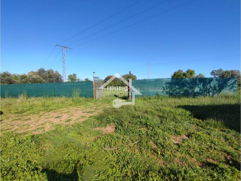 Foto 655bfd23-b56f-4ebb-bd1e-3fbf71db6221. Finca rústica a Navarrete