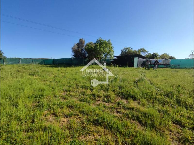 Foto 73deeebb-ca2d-4129-9c70-31c35b31183f. Finca rústica a Navarrete