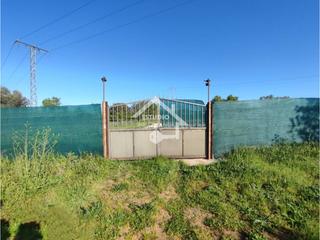 Finca rústica  Camino de sotes. Terreno en venta en navarrete
